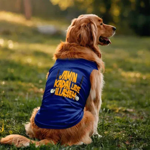 Jamin, kadal laye illayam dog tank in royal blue color