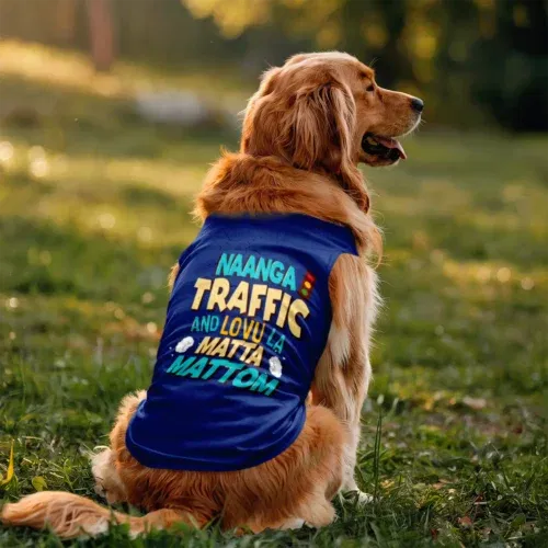 Naanga traffic and lovu la matta mattom dog tank in royal blue color