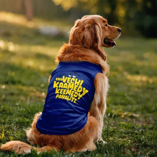 Ena vechi kaamedy keemady panaliye dog tank in royal blue color