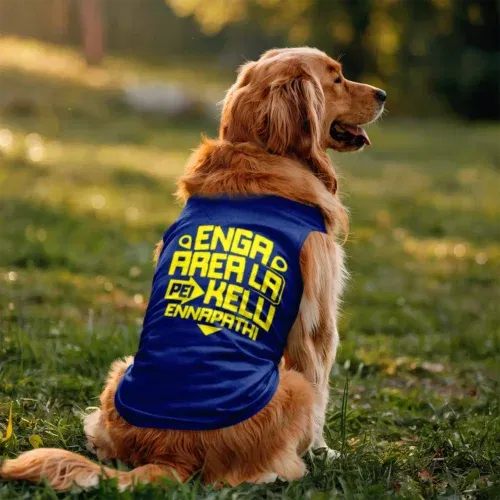 Enga area la pei kelu ennapathi dog tank in royal blue color