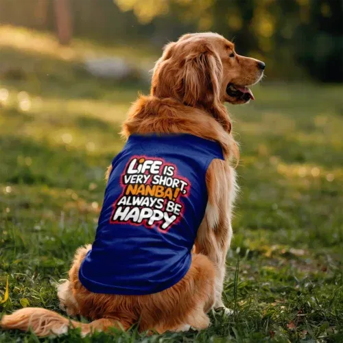 Life is very short nanba dog tank in royal blue color