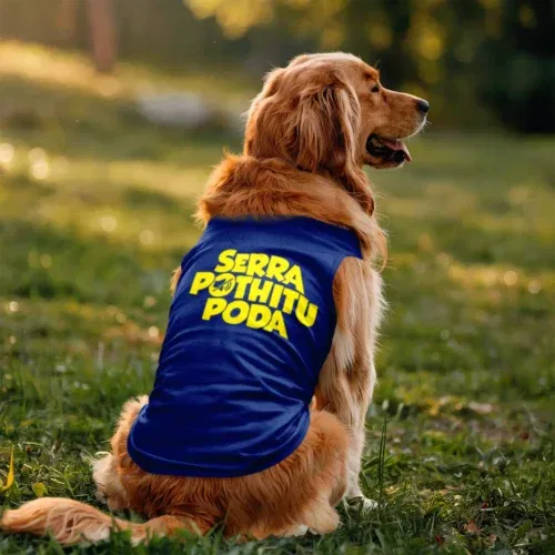 Serra pothitu poda dog tank in royal blue color