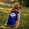 Hello Dubai Ah? Dog Tank in Royal Blue Color