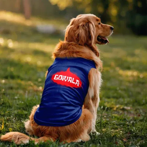 Goiyala dog tank in royal blue color