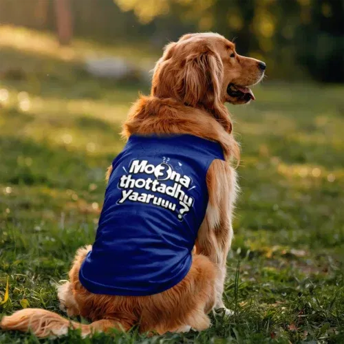 Moona thotadhu yaaru dog tank in royal blue color