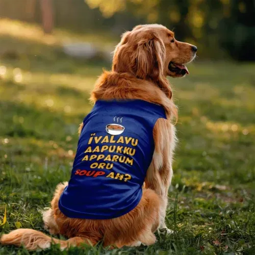 Ivalavu aapukku apparum oru soup ah? Dog tank in royal blue color
