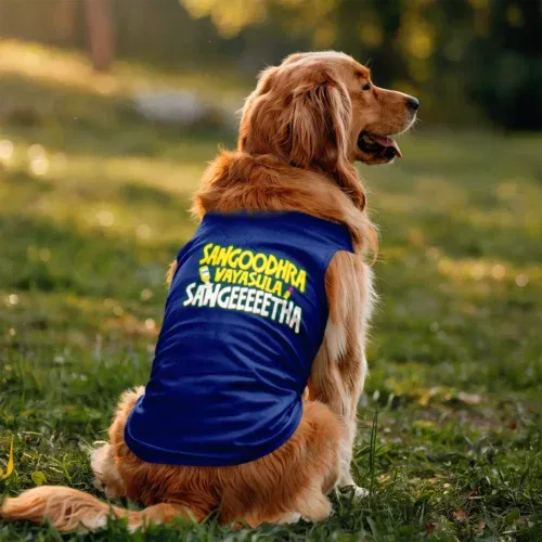 Sangoodhara vayasula sangeeetha dog tank in royal blue color