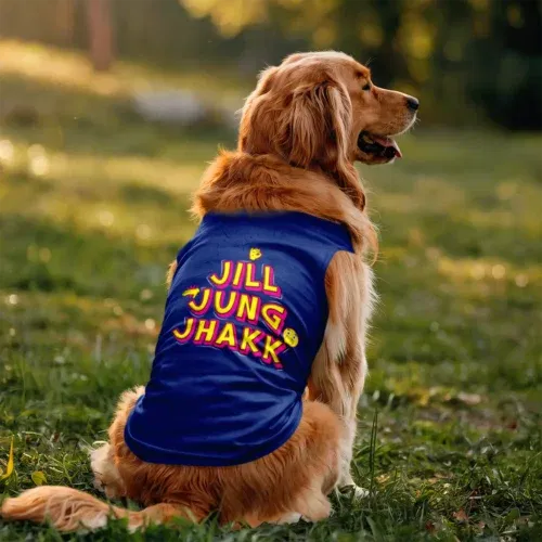 Jill jung jhakk dog tank in royal blue color