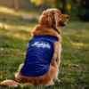 Maghizchi Dog Tank in Royal Blue Color