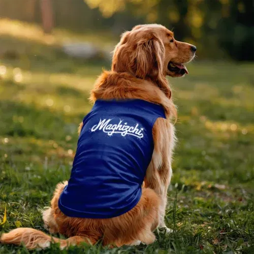 Maghizchi dog tank in royal blue color