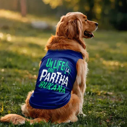 Un life la oru partha irukana dog tank in royal blue color