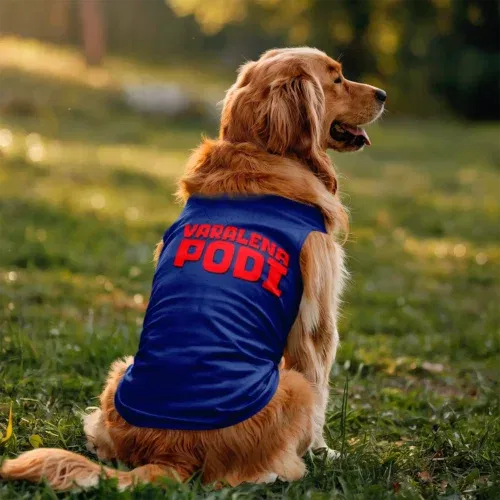Varalena podi dog tank in royal blue color