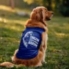 Singam Singuladhan Varum Dog Tank in Royal Blue Color