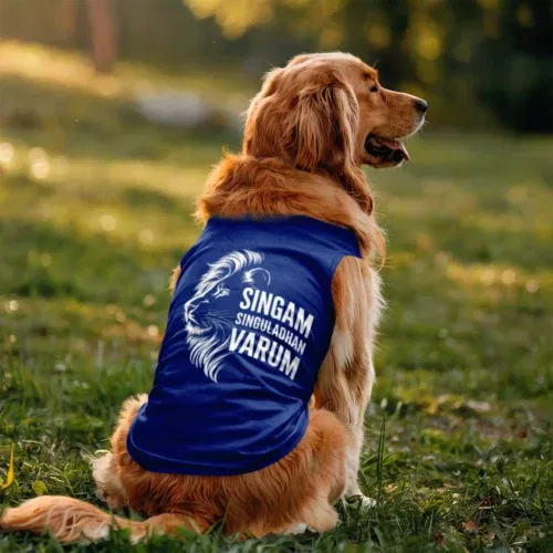 Singam singuladhan varum dog tank in royal blue color