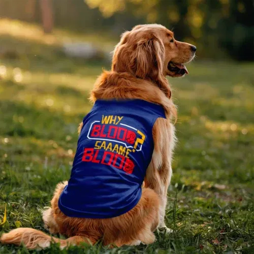 Why blood same blood dog tank in royal blue color