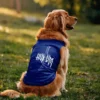 Hukum Dog Tank in Royal Blue Color