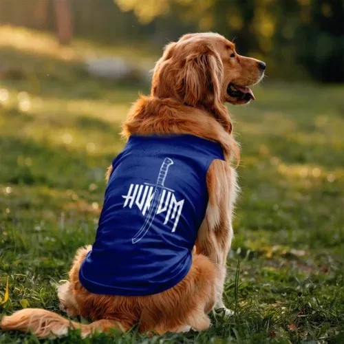Hukum dog tank in royal blue color