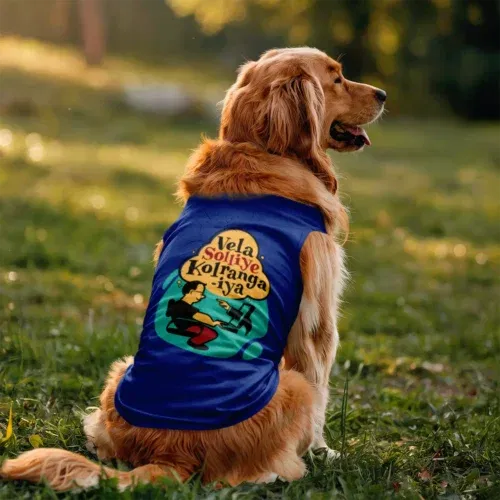 Vela soliye kolrangaiya dog tank in royal blue color