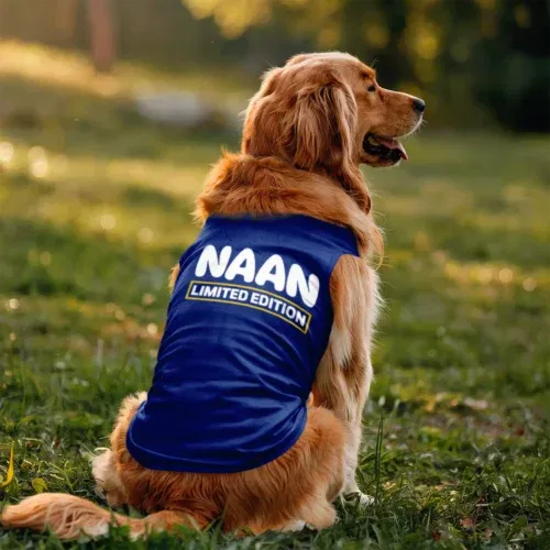 Naan limited edition dog tank in royal blue color
