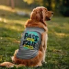 Pass Perusa Fail Perusa Dog Tank in Grey Melange Color
