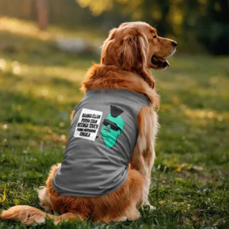 Naaga Ellam Paeriya Edam, Neenga Touch Panna Mudiyadhu Engala Dog Tank in Grey Melange Color