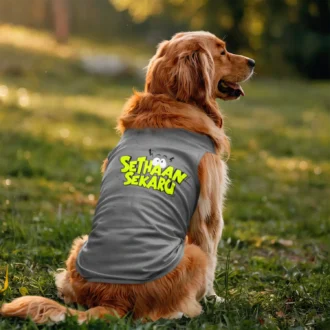 Sethaan Sekaru Dog Tank in Grey Melange Color