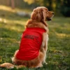 Telex Pandian Dog Tank in Red Color
