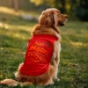 Appo Naan Nenachadula Thappu Ilaye Dog Tank in Red Color