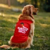Enna Koduma Saravanan Idhu Dog Tank in Red Color