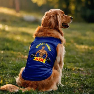 Bullet Pandi Gym Dog Tank in Royal Blue Color